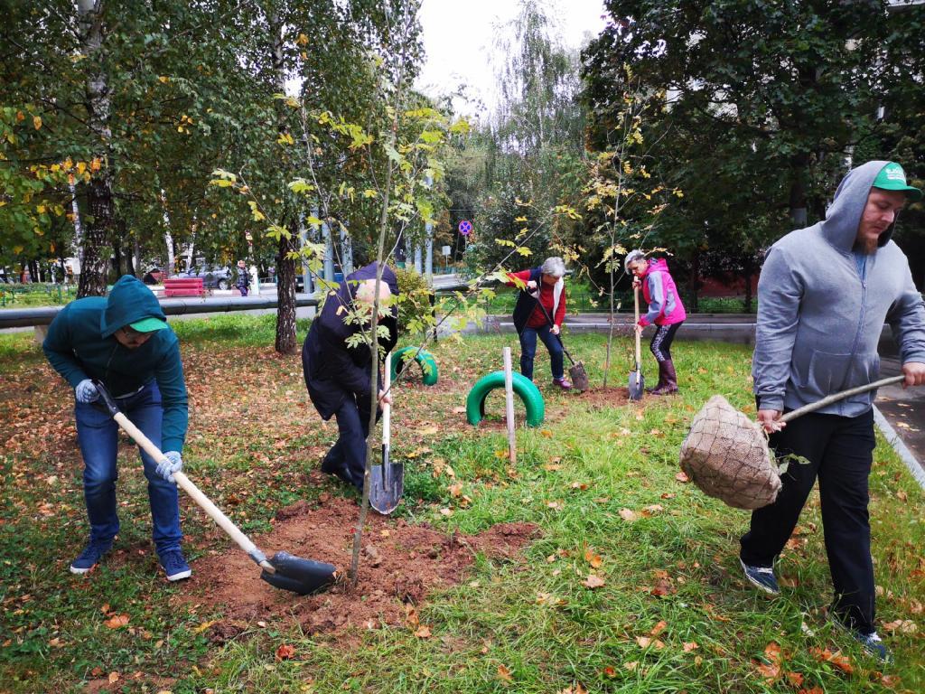 Наш лес. Посади дерево 1.jpg